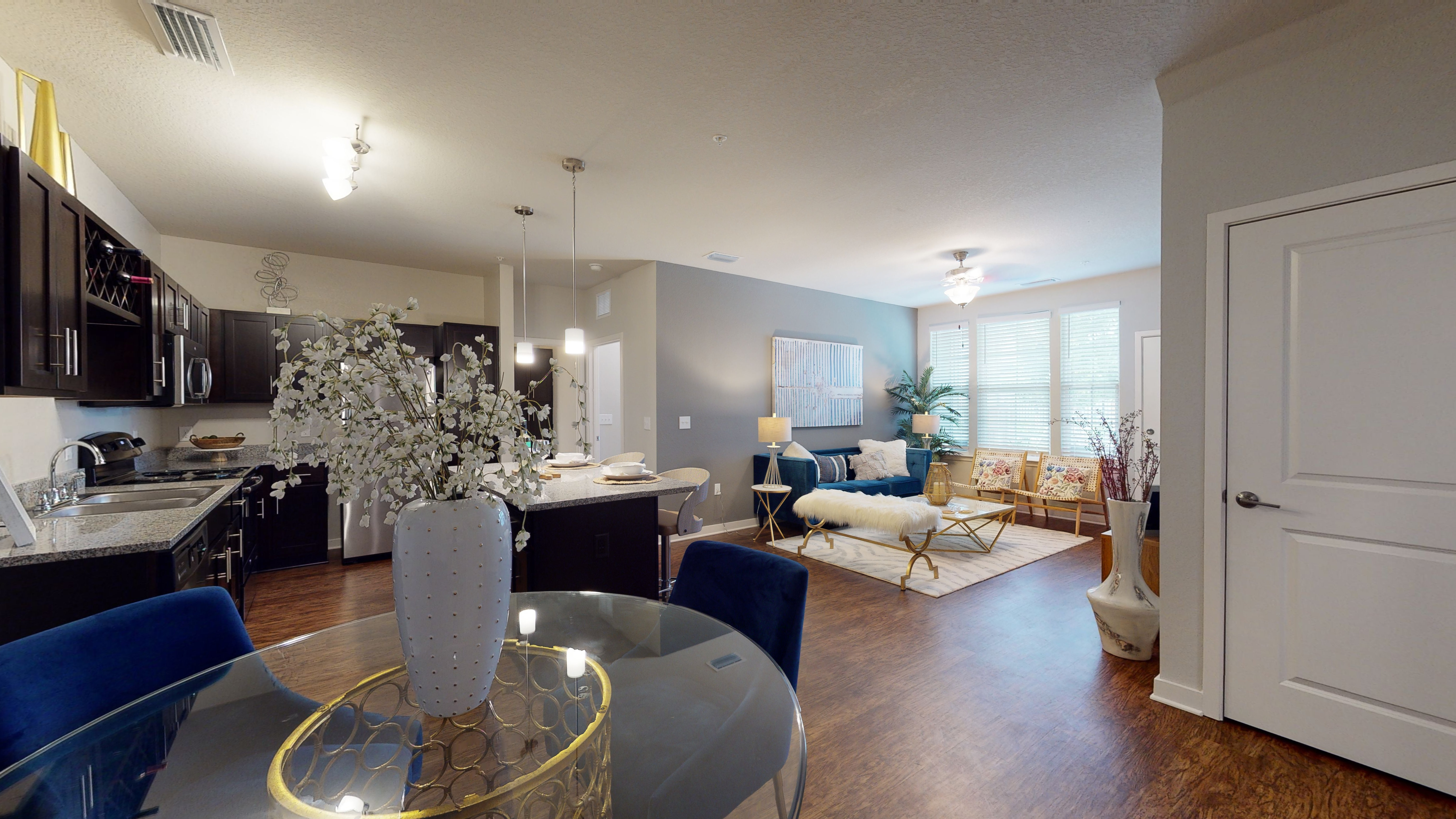 Virtual Tours and Photos Springs at Hammock Cove